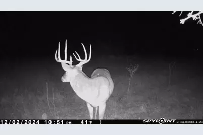 Tbd 1 Cr 343 Road, Dublin, TX 76446 - Photo 1