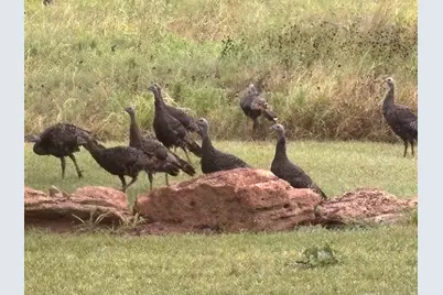 4460 Hildreth Pool Road, Bowie, TX 76230 - Photo 38