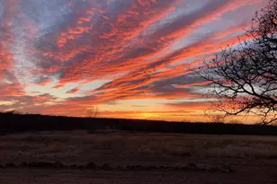 4460 Hildreth Pool Rd, Bowie, TX 76230 - Photo 40