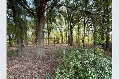 1211 Vz County Rd 4418 Road, Canton, TX 75103 - Photo 32