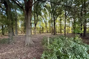 1211 Vz County Rd 4418 Rd, Canton, TX 75103 - Photo 32