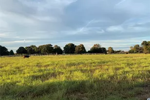 1211 Vz County Rd 4418 Rd, Canton, TX 75103 - Photo 34