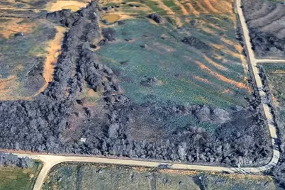 890 Clover Drive, Poolville, TX 76487 - Photo 1