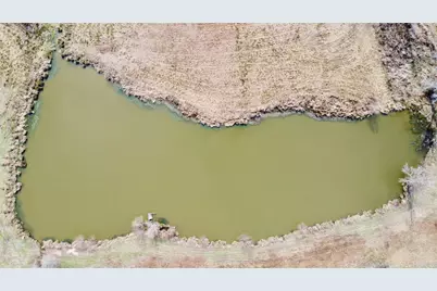 Tbd Cr 1460, Linden, TX 75563 - Photo 2