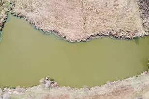 Tbd Cr 1460, Linden, TX 75563 - Photo 2