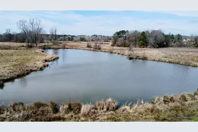 Tbd Cr 1460, Linden, TX 75563 - Photo 1