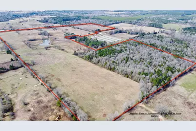 Tbd Cr 1460, Linden, TX 75563 - Photo 4