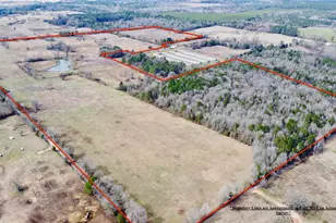 Tbd Cr 1460, Linden, TX 75563 - Photo 4