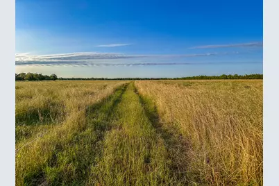 0 Cr 2245, Ivanhoe, TX 75447 - Photo 10