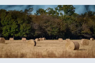 124 Private Road 3209, Bridgeport, TX 76426 - Photo 18
