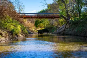 124 Private Road 3209, Bridgeport, TX 76426 - Photo 12