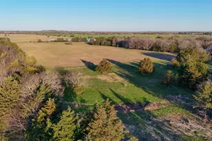 000 Cr-2245, Ivanhoe, TX 75447 - Photo 1