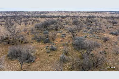1333 N Hwy 283, Baird, TX 79504 - Photo 14