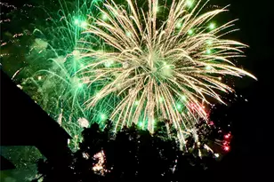 1307 Bois D Arc St, Weatherford, TX 76086 - Photo 30