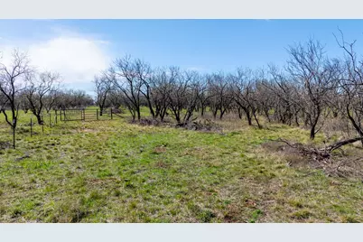 3445 County Road 337, Early, TX 76802 - Photo 40