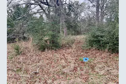 559 An County Road 2223, Tennessee Colony, TX 75861 - Photo 2