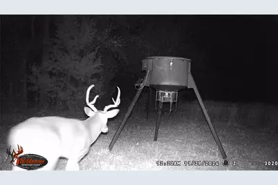 871 Hcr 1212 Road, Blum, TX 76627 - Photo 4