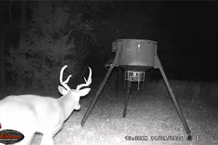 871 Hcr 1212 Rd, Blum, TX 76627 - Photo 4