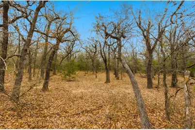 871 Hcr 1212 Road, Blum, TX 76627 - Photo 10