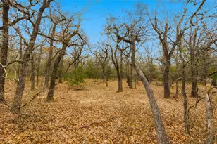 871 Hcr 1212 Rd, Blum, TX 76627 - Photo 10