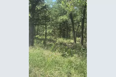 500 Pr 3204, Bridgeport, TX 76426 - Photo 4