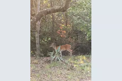 686 Cattlebaron Parc Drive, Fort Worth, TX 76108 - Photo 28