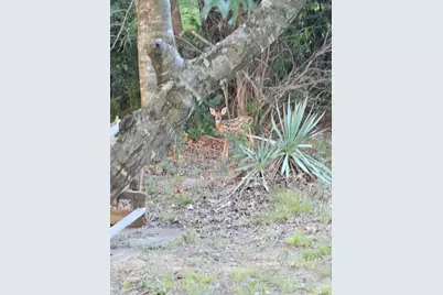 686 Cattlebaron Parc Drive, Fort Worth, TX 76108 - Photo 30