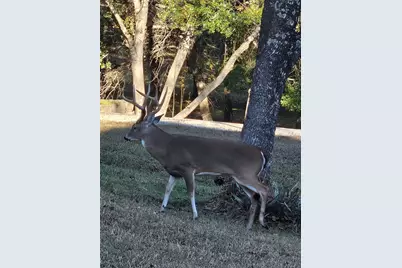 686 Cattlebaron Parc Drive, Fort Worth, TX 76108 - Photo 2