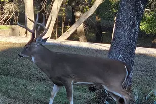 686 Cattlebaron Parc Dr, Fort Worth, TX 76108 - Photo 2