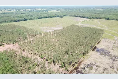Off Cr 4290, Simms, TX 75574 - Photo 20