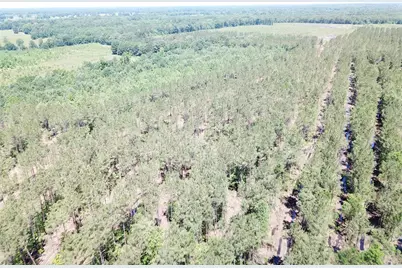 Off Cr 4290, Simms, TX 75574 - Photo 8