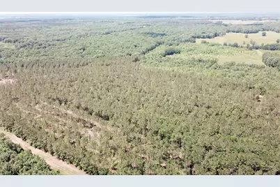 Off Cr 4290, Simms, TX 75574 - Photo 24