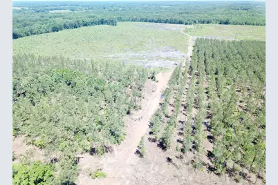 Off Cr 4290, Simms, TX 75574 - Photo 12