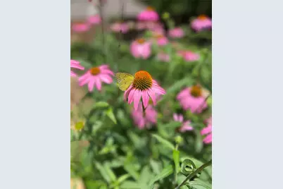 1801 Glenbrook Court, Bedford, TX 76021 - Photo 40