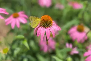 1801 Glenbrook Ct, Bedford, TX 76021 - Photo 40