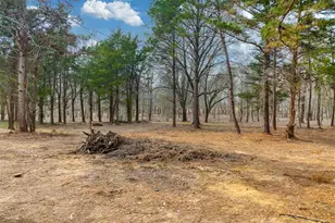 0 C R 152 W, Bullard, TX 75757 - Photo 2