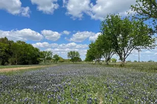 7328 Hwy 183 N, Early, TX 76802 - Photo 6
