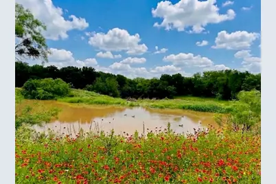 7328 Hwy 183 N, Early, TX 76802 - Photo 4