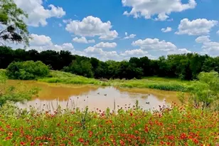 7328 Hwy 183 N, Early, TX 76802 - Photo 4