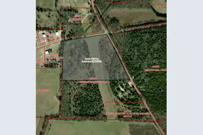 Tract One Pilot Grove Road, Whitewright, TX 75491 - Photo 1