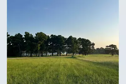Lot 65: Tbd - Private Road 52320, Pittsburg, TX 75686 - Photo 8