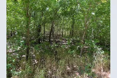 Tract Two Pilot Grove Road, Whitewright, TX 75491 - Photo 4