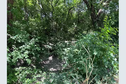 Tract Two Pilot Grove Road, Whitewright, TX 75491 - Photo 8