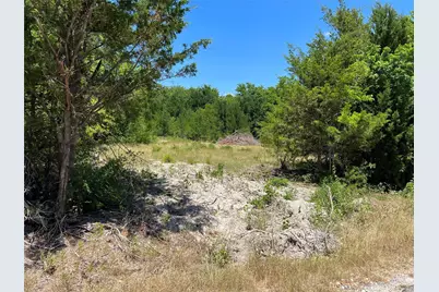 Tract Two Pilot Grove Road, Whitewright, TX 75491 - Photo 2