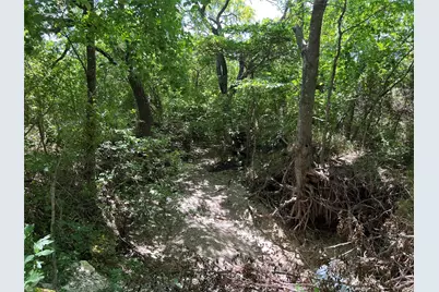 Tract Two Pilot Grove Road, Whitewright, TX 75491 - Photo 6