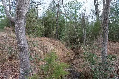 9190 County Road 2136 N, Henderson, TX 75652 - Photo 4