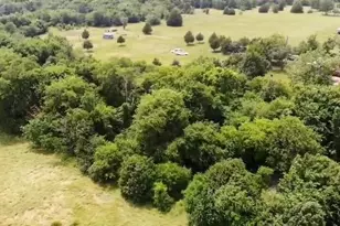 460 Vz County Road 3432, Wills Point, TX 75169 - Photo 2