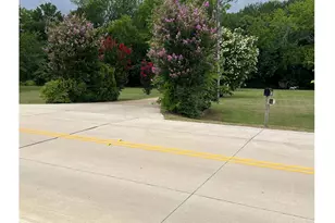 7585 Co Rd 202, McKinney, TX 75071 - Photo 2