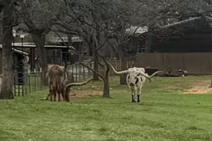 157 Fairweather Dr, Burleson, TX 76028 - Photo 40