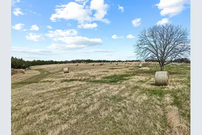 Tbd Crews Road, Bells, TX 75414 - Photo 14